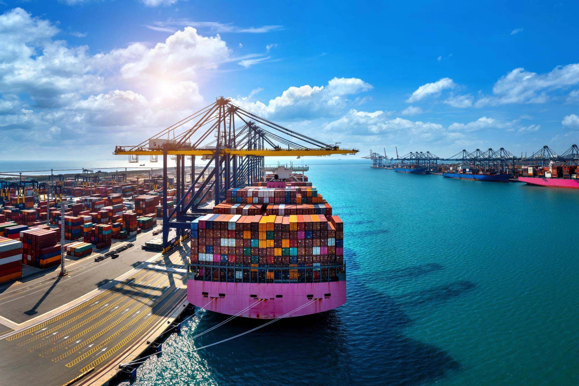 Expand your business globally with Blueberrysoft's export service. Save time, minimize risk, and maximize revenue potential in the global market.