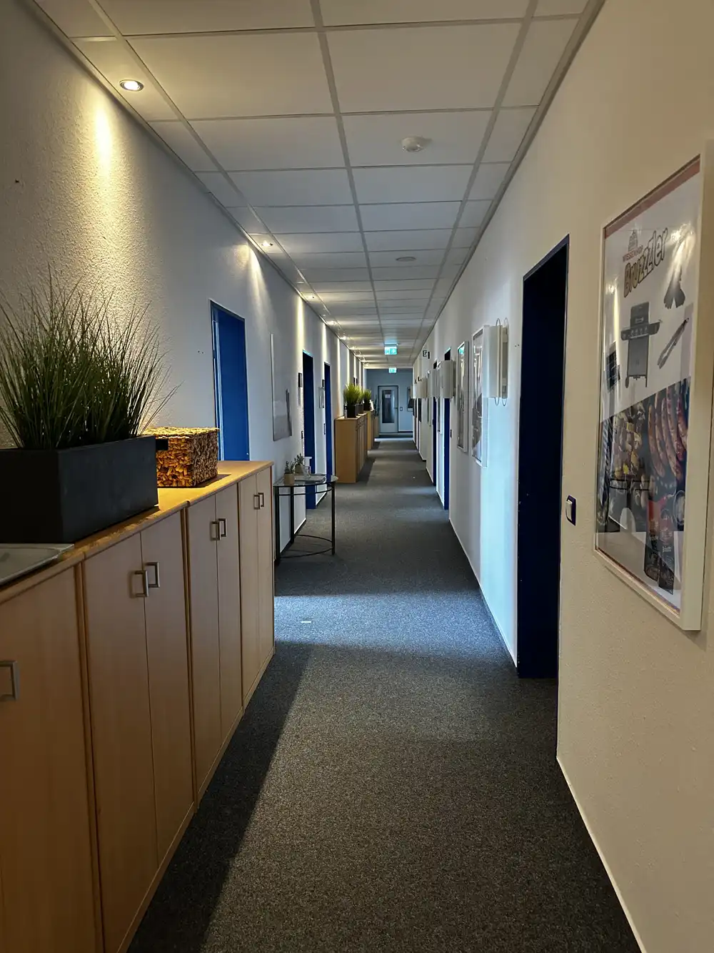 Blueberrysoft office image