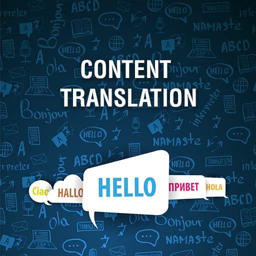 EU language translation service